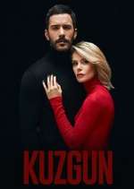 kuzgun tv poster