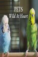 Watch Pets - Wild at Heart Putlocker
