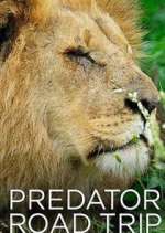 Watch Predator Road Trip Putlocker