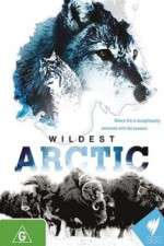 Watch Wildest Arctic Putlocker