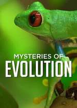 Watch Mysteries of Evolution Putlocker