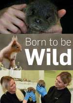 Watch Born to Be Wild Putlocker