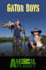 Watch Gator Boys Putlocker