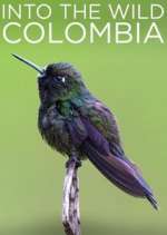 Watch Into the Wild Colombia Putlocker