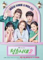 age of youth tv poster