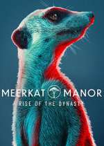 Watch Meerkat Manor: Rise of the Dynasty Putlocker