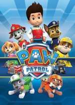 paw patrol tv poster