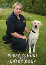 Watch Puppy School for Guide Dogs Putlocker