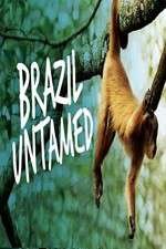 Watch Brazil Untamed Putlocker