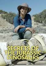 Watch Secrets of the Jurassic Dinosaurs Putlocker