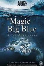 Watch The Magic of the Big Blue Putlocker