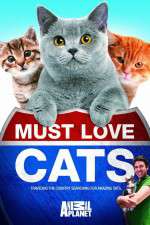 Watch Must Love Cats Putlocker