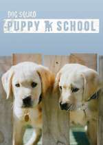 Watch Dog Squad: Puppy School Putlocker