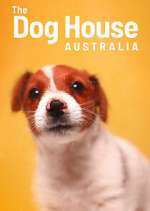the dog house australia tv poster