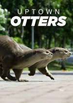 Watch Uptown Otters Putlocker