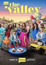 the valley tv poster