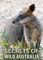 Watch Secrets of Wild Australia Putlocker