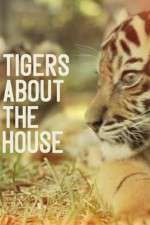 Watch Tigers About the House Putlocker