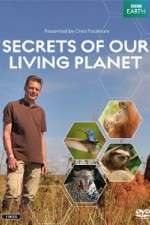 Watch Secrets of Our Living Planet Putlocker
