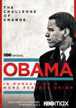 Watch Obama: In Pursuit of a More Perfect Union Putlocker