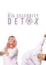 Watch The Big Celebrity Detox Putlocker