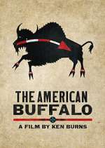 Watch The American Buffalo Putlocker