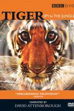 Watch Tiger: Spy in the Jungle Putlocker